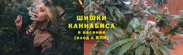 амф Аркадак