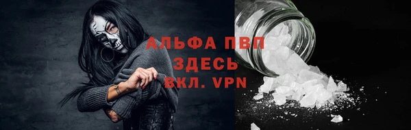 амф Аркадак