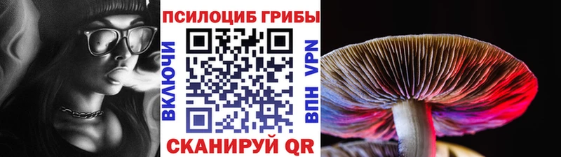 Псилоцибиновые грибы прущие грибы  Белозерск 